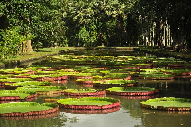Historical Private Guided Tour, City-Sugarworld-Botanical Garden - Min.2 Persons - Good To Know