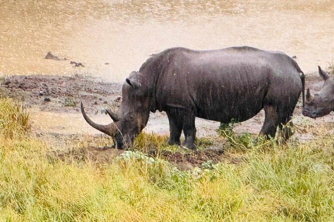 Hluhluwe Imfolozi Park Excursion