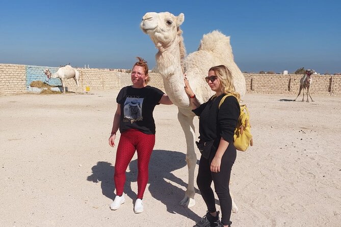 Horse Ride in Hurghada 2 Hours - Background