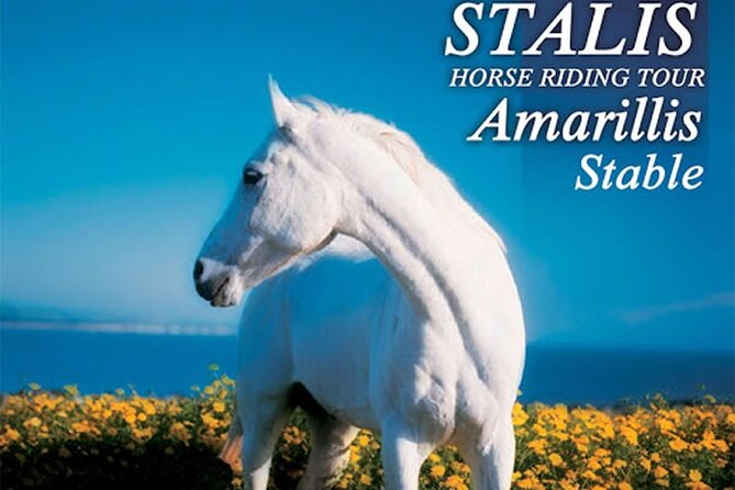HORSE RIDING 1.5 Hours Mountains From Area Hersonissos CRETE - Good To Know