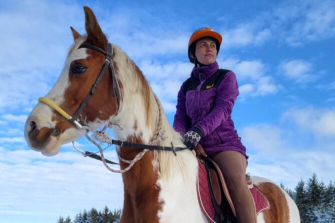Horse Riding Day Trip in the Rila Mountain - Trip Overview