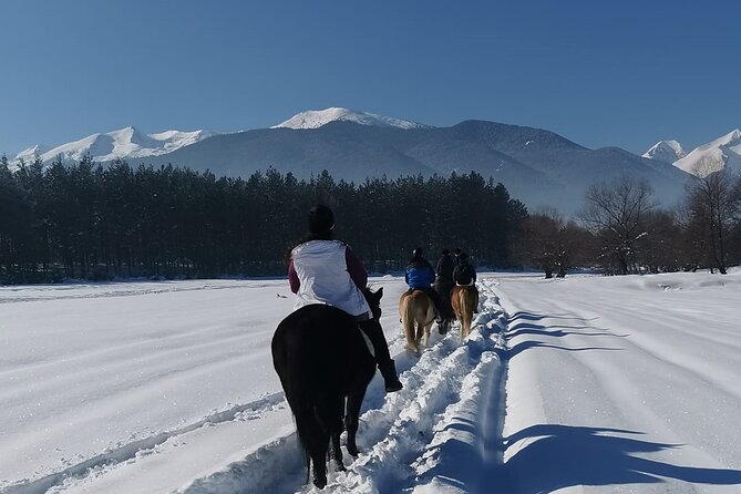 Horse Riding Experience From Bansko - Good To Know