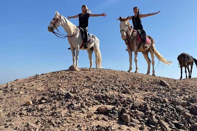 Horse Riding One Hours at Amazing Desert With Transfer - Marsa Alam - Good To Know