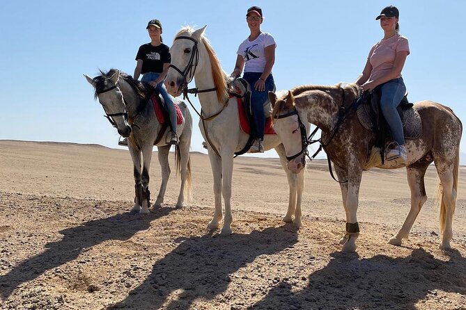 Horse Riding Two Hours at Amazing Desert in Marsa Alam With Transfer-Marsa Alam - Good To Know