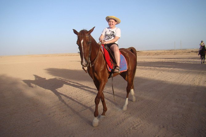Horseback Or Camel Riding One Hour With Transfer - Sharm El Sheikh - Good To Know