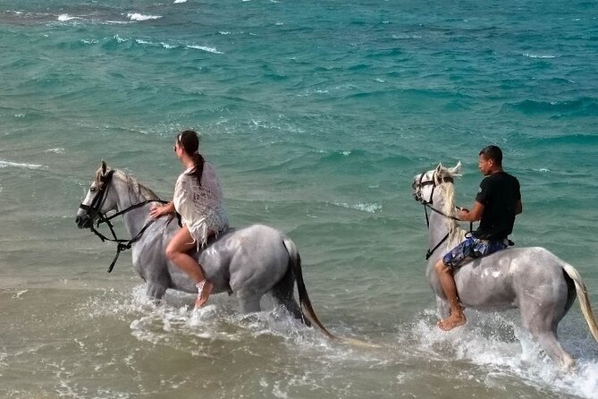 Horseback Riding Private Tour With Meal in Hurghada - Good To Know
