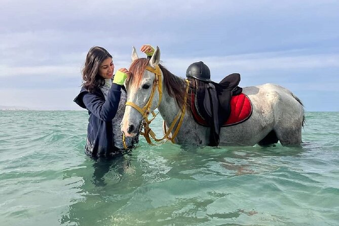 Horseback Riding Tour Desert & Beach at Nabq Bay - Sharm Elsheikh - Good To Know