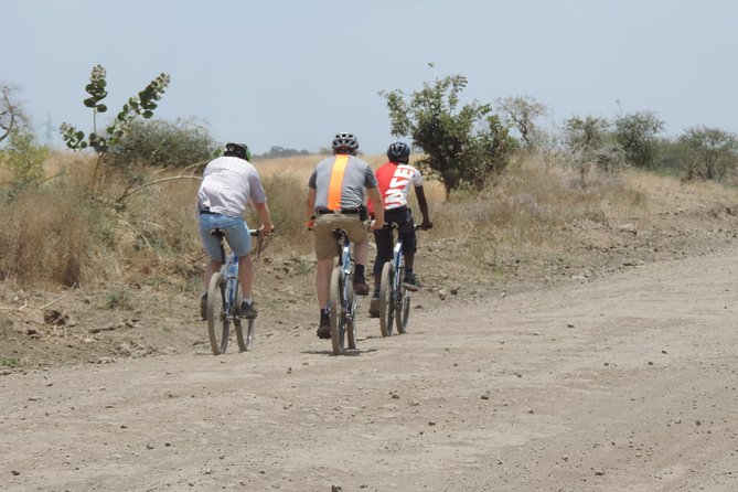 Hot Springs Bike Tour - Good To Know