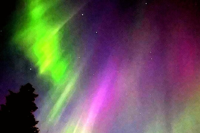 Hunting Aurora With BBQ in Small Group - Good To Know