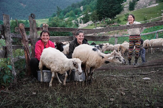 Immersive 2-Day Tour With Malësorë Shepherds Near Lezhë - Good To Know