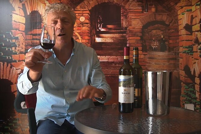 Interactive Wine Tour in Dubrovnik - Tour Details