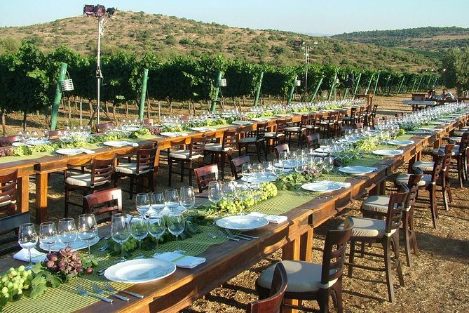 2 Best Wine Tours In Tel Aviv