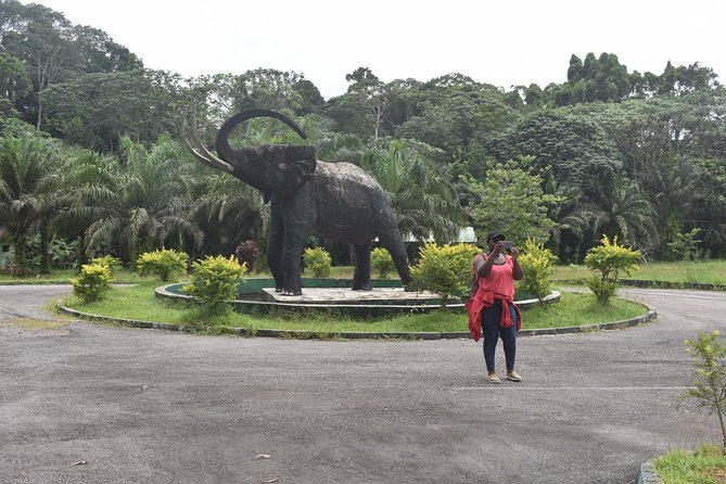Jungle Adventure - Cross River National Park - Good To Know