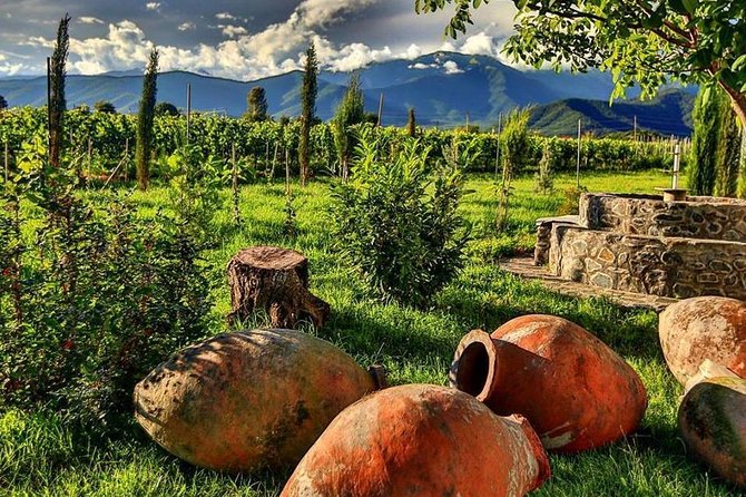 Kakheti-Wine Region Full-Day Superior Private Guided Tour & Organic Wine Tasting