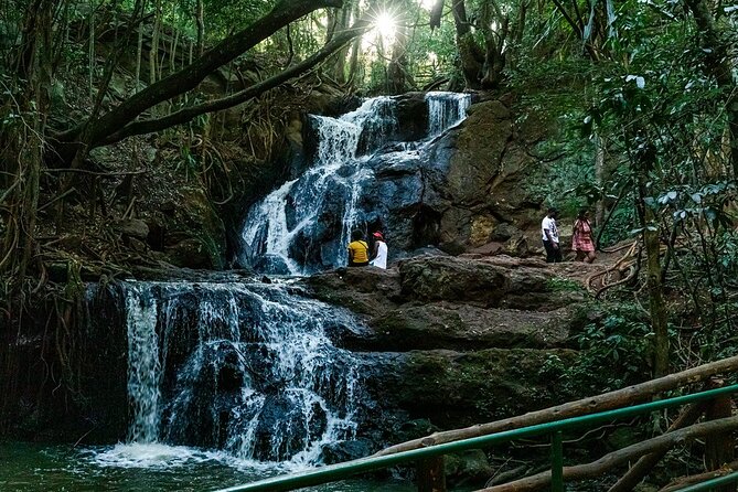 Karura Forest Hiking and Bike Tour