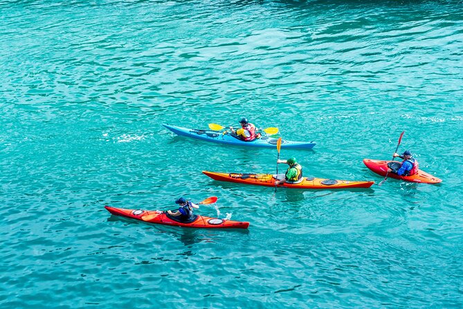 Kayak Riding Experience at Sorrento Coast - Good To Know
