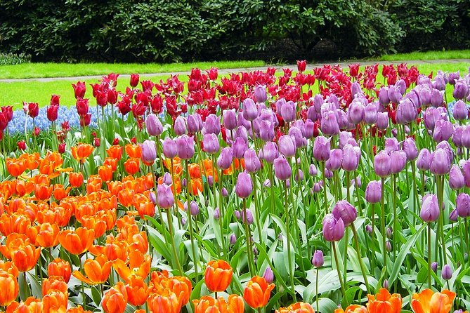 Keukenhof and Flower Fields Private Tour From Amsterdam - Good To Know