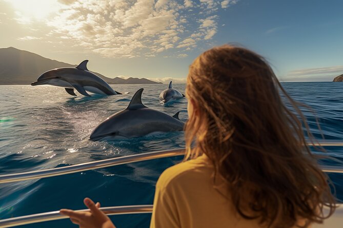 Khasab, Musandam: Dolphins, Snorkeling & Fjords 6-Hr Dhow Cruise - Good To Know