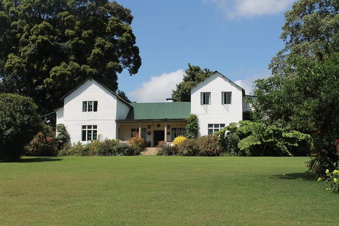 Kiambethu Tea Farm Tour & Lunch From Nairobi