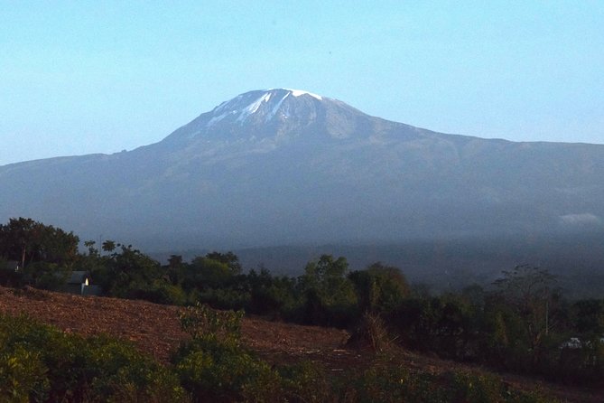 Kilimanjaro Day Trip -Marangu Route - Inclusions and Exclusions