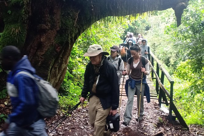 Kilimanjaro Excursion 6 Days Marangu Route - Good To Know