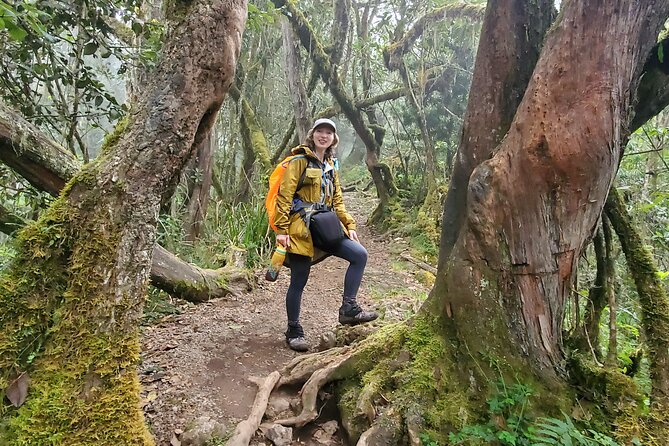 Kilimanjaro Northern Circuit Route 8 Days - Good To Know