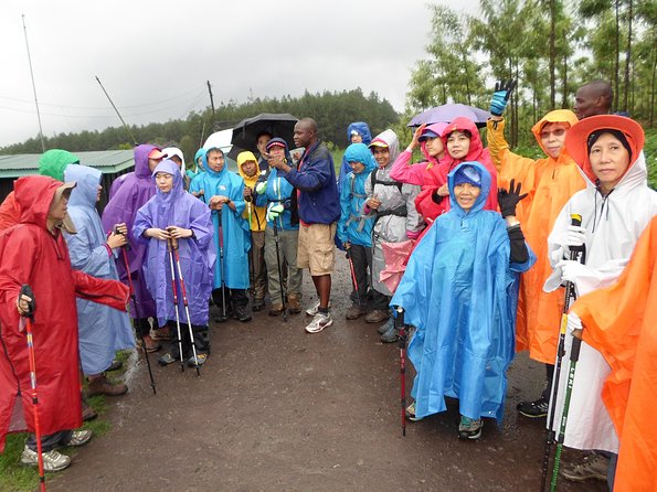 Kilimanjaro Rongai Route 7 Days