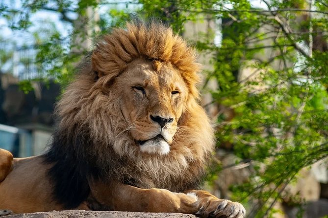 Krakow: Zoo Tour With Private Transport and Tickets - Good To Know