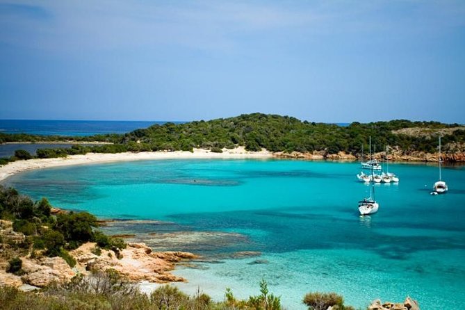 Kusadasi Private Transfer From Kusadasi Hotels to Izmir Adnan Menderes Airport - Good To Know