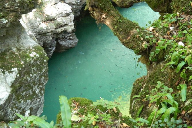 Kutaisi.All Inclusive Tour in Imereti Region - Good To Know