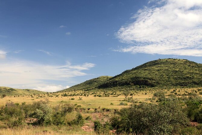 Lake Nakuru National Park Wildlife Private Day Tour From Nairobi - Good To Know