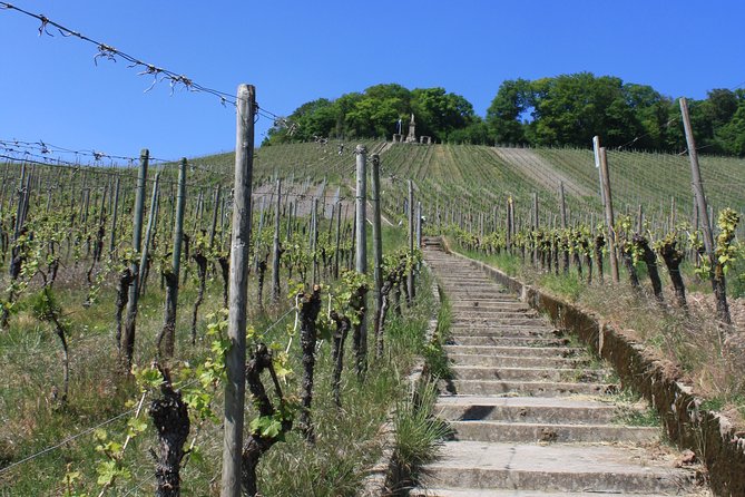 Lakes and Vineyards of Remerschen and Schengen - Good To Know