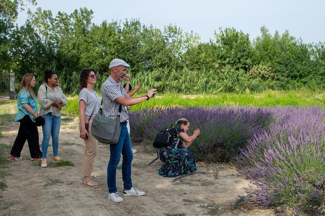 Lavender Harvesting and Distillation Workshop in Bellegarde - Good To Know