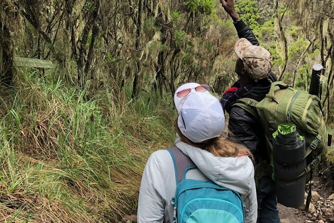 Lemosho Route Climbing Kilimanjaro 8 Days