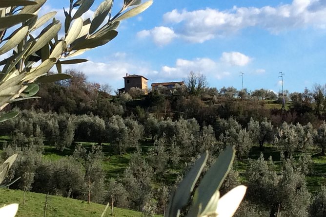 Leonardo Da Vinci Voyage With Olive Oil, Food and Wine Dream - Good To Know