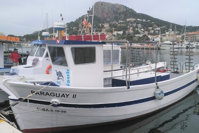 LEstartit: Snorkeling in the Medes Islands - Good To Know