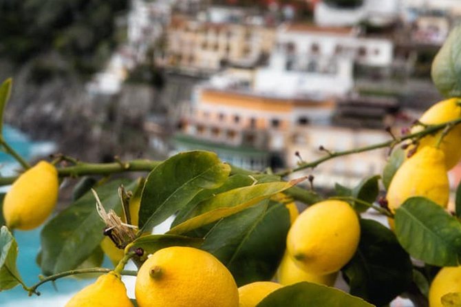 Local Product and Food Tour in Sorrento - Good To Know