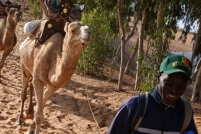 Lompoul Desert