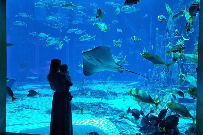 Lost Chamber Aquarium Entry Ticket With Private Transfer in Dubai - Good To Know