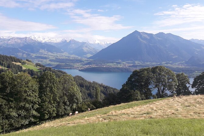 Lower Lake Guided Tour for 1 to 3 People in Bernese Oberland - Tour Overview