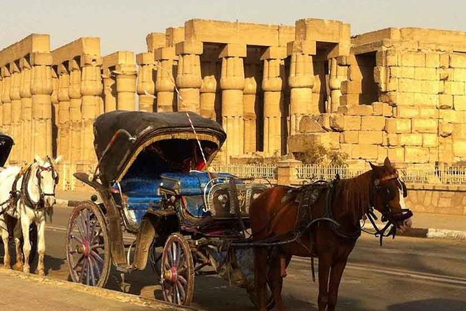Luxor City Tour By Horse Carriage From West Bank - Good To Know