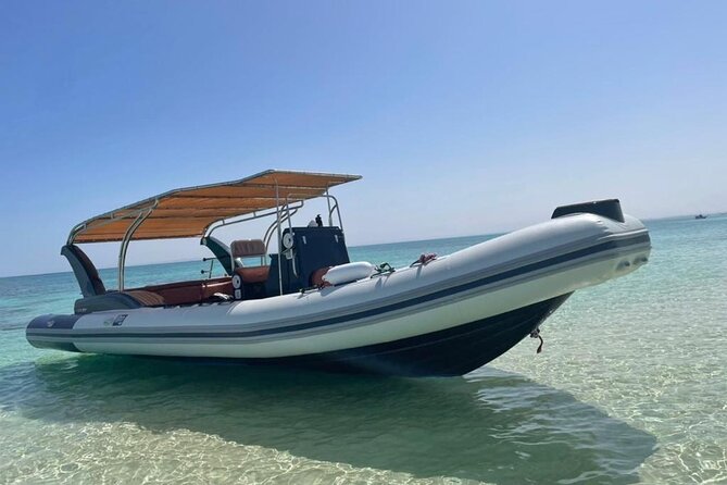 Luxurious Private Speedboat Tour With Dolphin Watching - Good To Know