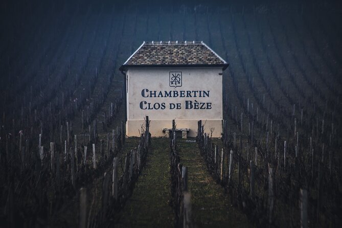 Luxurious Wine Tour in Burgundy - Good To Know