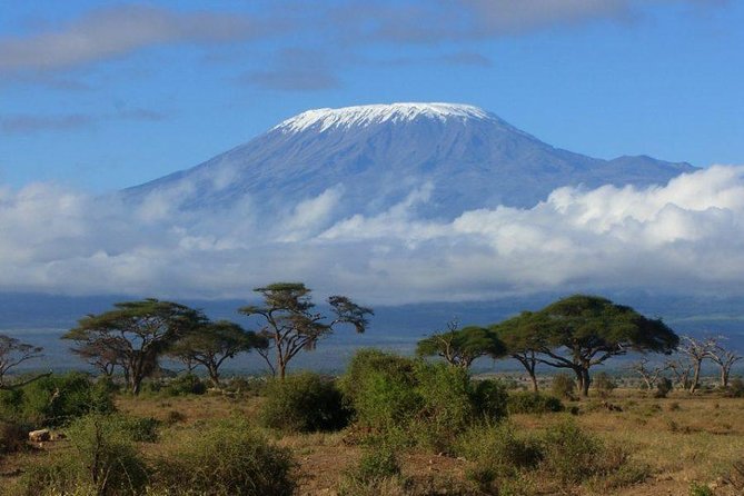 Machame 6 Days Kilimanjaro Climb - Good To Know