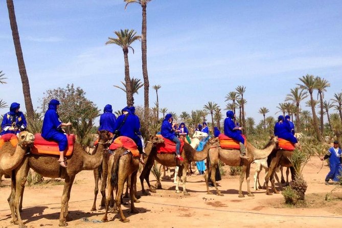 Majorelle Garden and Camel Ride in Palmeraie of Marrakech - Majorelle Garden History