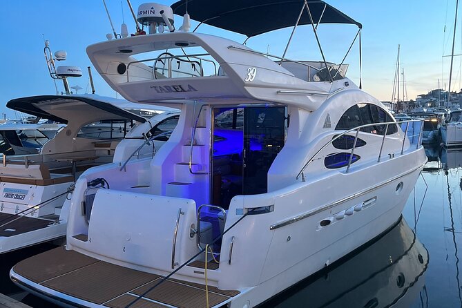 Marbella: Puerto Banús 2-Hour Dolphin Watching Cruiser - Activity Details