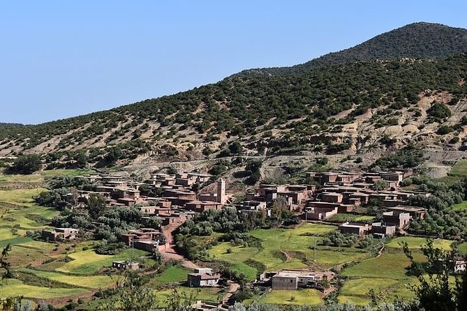Marrakech to Ouarzazate: Private Day Trip to Kasbah Ait-ben-hadou - Trip Highlights