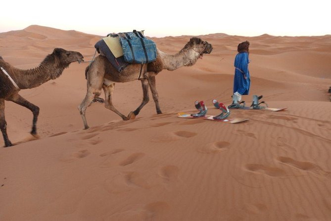 Marrakech - Zagora Desert - Marrakech 2 Days Tour - Good To Know