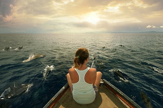 Marsa Alam: Sataya Dolphin House Snorkeling Trip - Good To Know
