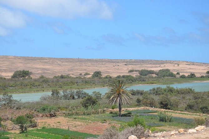 Massa 4x4 & Small Dunes With Lunch Day Trip From Agadir - Departure Details